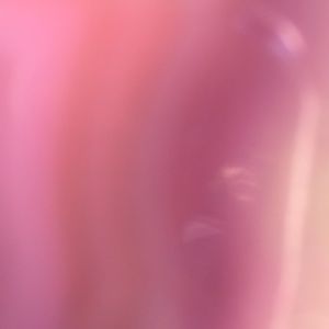 Meet your Posher, Summer